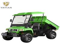 Ферма-транспортер,10 Квт,72 В,Литиевый Электрический Utv С 4x4 Для Взрослых